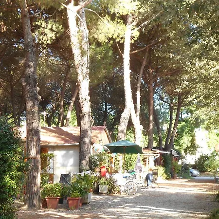 Iron Gate Marina3b Tatil parkı Sarzana