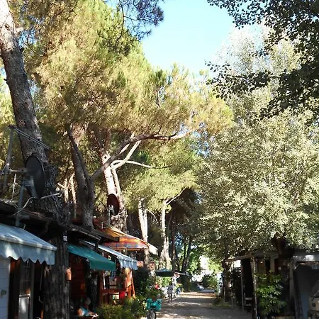 Iron Gate Marina3b Ferienpark